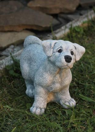 Садовая фигура, статуэтка Собака для декора сада изготовлен из...