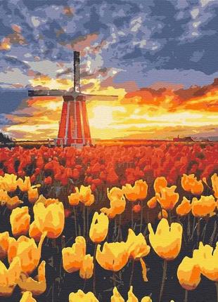 Картина по номерам цветы тюльпаны в голландии 40*50 см ривьера...