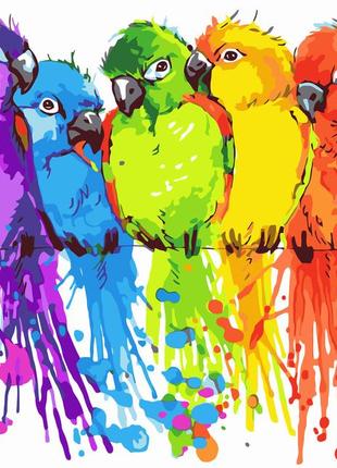 Картина по номерам (простая) origami разноцветные попугайчики ...