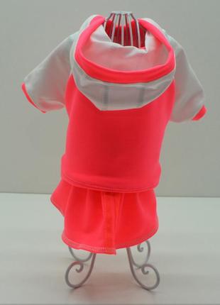 Костюм-платье для собак фитнес zoo-hunt оранжевая 2xs