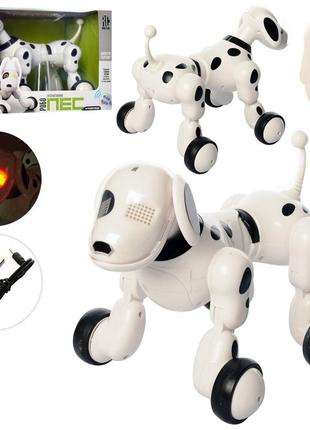 Интерактивная robot собака smart pet dog rc 0006 23 см.