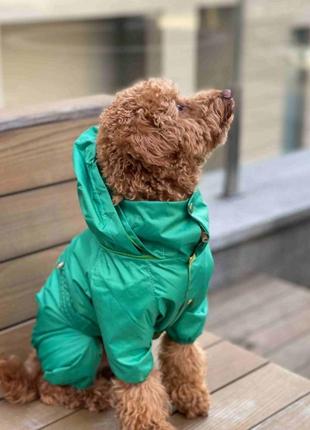 Дождевик со скрытым капюшоном, для собак, зеленый