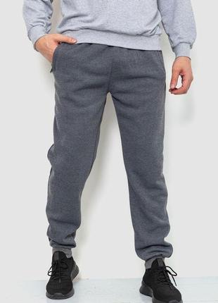 Спорт штаны мужские на флисе, цвет серый, 244r4188