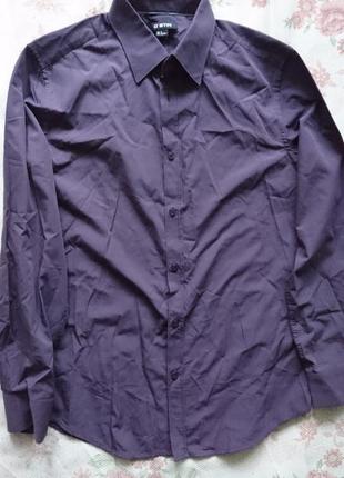Мужская рубашка длинный рукав темно фиолетовая