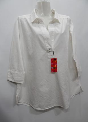 Блузка фирменная женская хлопок UKR р. 52 024бр (только в указ...