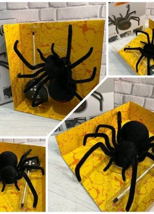 Іграшка робот-павук (3021) чорна вдова на радіокеруванні