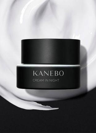 Нічний зволожуючий преміальний крем kanebo cream in night, 40 ...