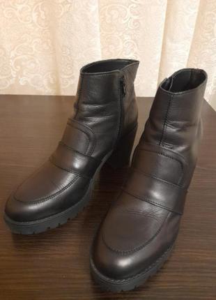 Продам кожаные сапоги carlo pazolini(40р)