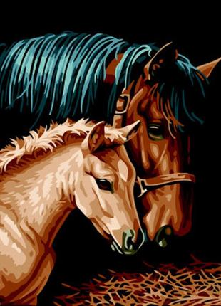 Картина за номерами zibi пара коней 40*50 см art line (zb.64244)