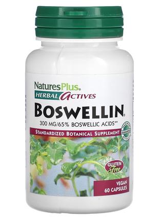 Босвелин, 300 мг, Boswellin, Herbal Actives, Natures Plus, 60 ...