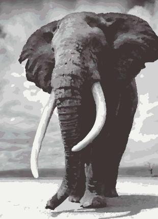 Картина по номерам rb-0166 слон, размер 40-50 см.