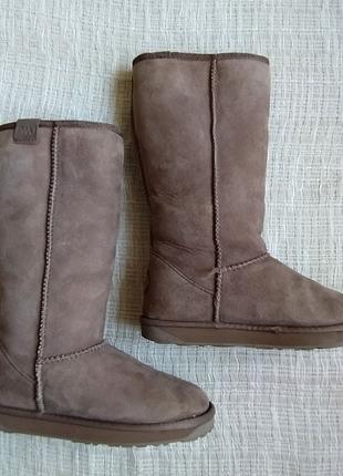 УГГИ (UGG) EMU. Австралия. Модель STINGER HI W10001. Новые