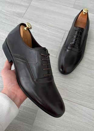 Класичні туфлі коричневого кольору