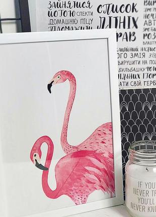 Постер у рамці a3 flamingo