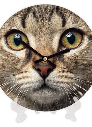 Часы настенные круглые кот, 18 см