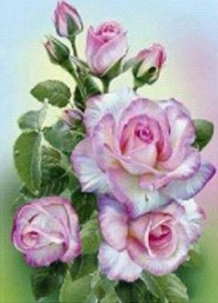 Алмазная мозаика вышивка Розовая роза полная выкладка мозаика ...