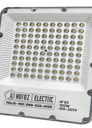 Прожектор светодиодный "FELIS-100" 100W 6400K