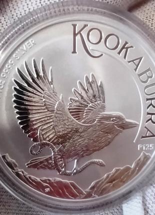 Серебряная монета Кукабарра, 2024, Австралия, 1 доллар, 1 унци...