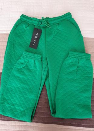 Зеленые брюки amisu