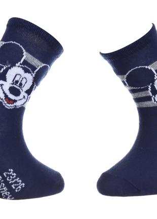 Шкарпетки TETE MICKEY + RAYURES синій Діт 23-26 арт 43891247-3