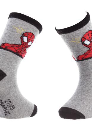 Шкарпетки SPIDER MAN BUSTE SPIDERMAN світло-сірий Діт 23-26, а...