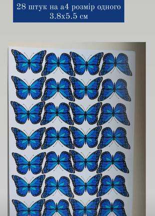 Метелики на букети а4 глянцевий фотопапір 15 грн листок