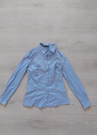 Брендовая базовая приталенная рубашка голубая sisley, размер s