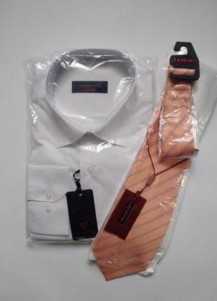 Рубашка белая мужская + галстук