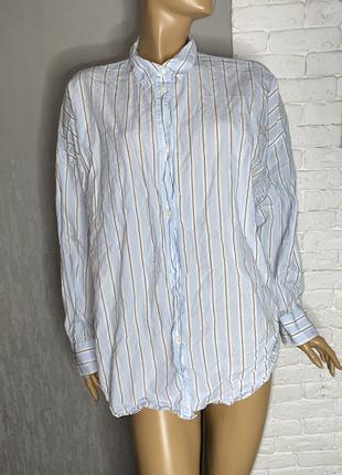 Блуза бавовняна блузка сорочка в полоску monki , l-xl 52р