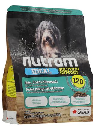 I20_NUTRAM Холістик для дор собак з ягням і корич. рисом, 340 г