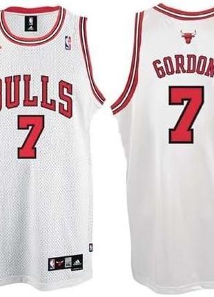 Баскетбольная джерси Ben Gordon Jersey: adidas White Swingman #7