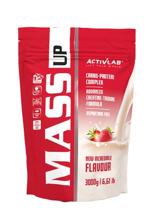 Mass Up (10% protein ) 3000g (Strawberry)