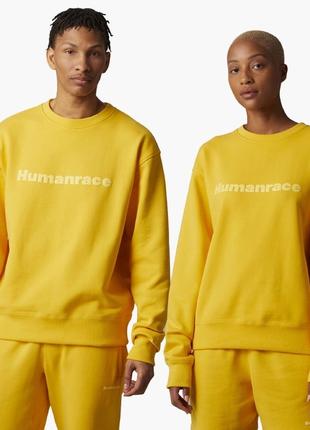 Світшот adidas x Pharrel Williams Basics Unisex Sweatshirt   Ткан