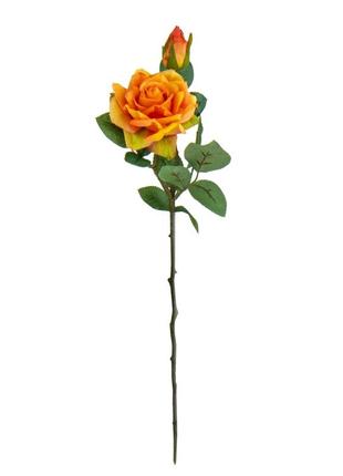 Роза "лаура", оранжевая, 47 см