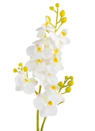 Орхидея "фаленопсис", белая, 70 см