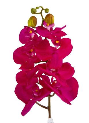 Орхидея "фаленопсис", насыщенно-розовая, 88 см