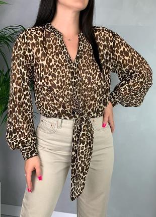 Блуза рубашка леопардовый принт