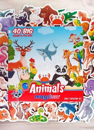 Детские магниты "животные" (animals) magdum, большой набор из ...
