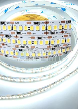 Светодиодная LED лента PROLUM™ 12V SMD2835 SAMSUNG 240 шт/м IP...