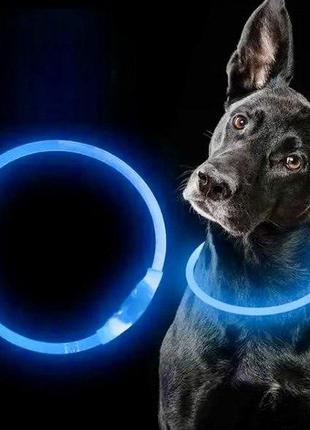 Светодиодный LED ошейник для собак на аккумуляторе с USB зарядкой