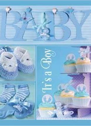Фотоальбом EVG 20sheet Baby collage Blue w/box (UA) (6239793)