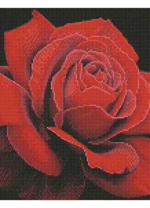 Набор с алмазной мозаикой "Красная роза" AMO7634 40х40см IDEYKA
