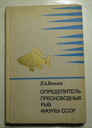 Определитель пресноводных рыб фауны СССР