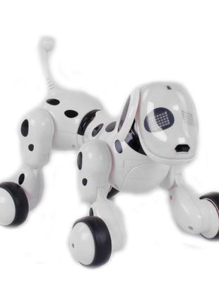 Інтерактивна іграшка Shantou Jinxing Собака (6013-3)