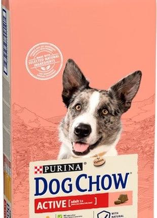 Сухой корм для активных и рабочих собак Dog Chow Active с кури...