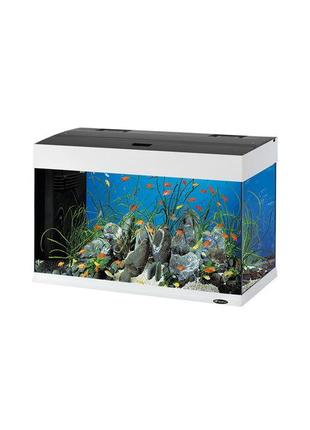 Стеклянный аквариум со светодиодной лампой на 125 литров Ferpl...