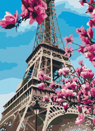 Цветение магнолий в Париже