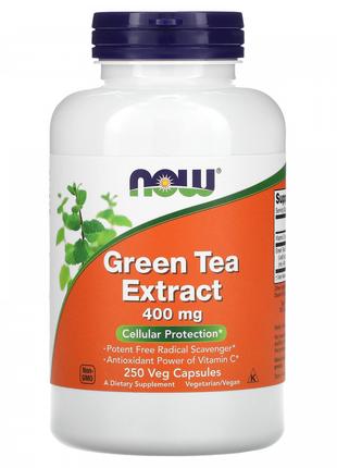 Екстракт зеленого чаю Now Foods (Green Tea) 400 мг 250 капсул