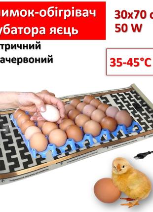 Килимок-обігрівач інкубатора яєць електричний інфрачервоний 30...