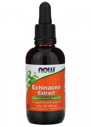 Ехінацея екстракт Now Foods (Echinacea Extract) 60 мл